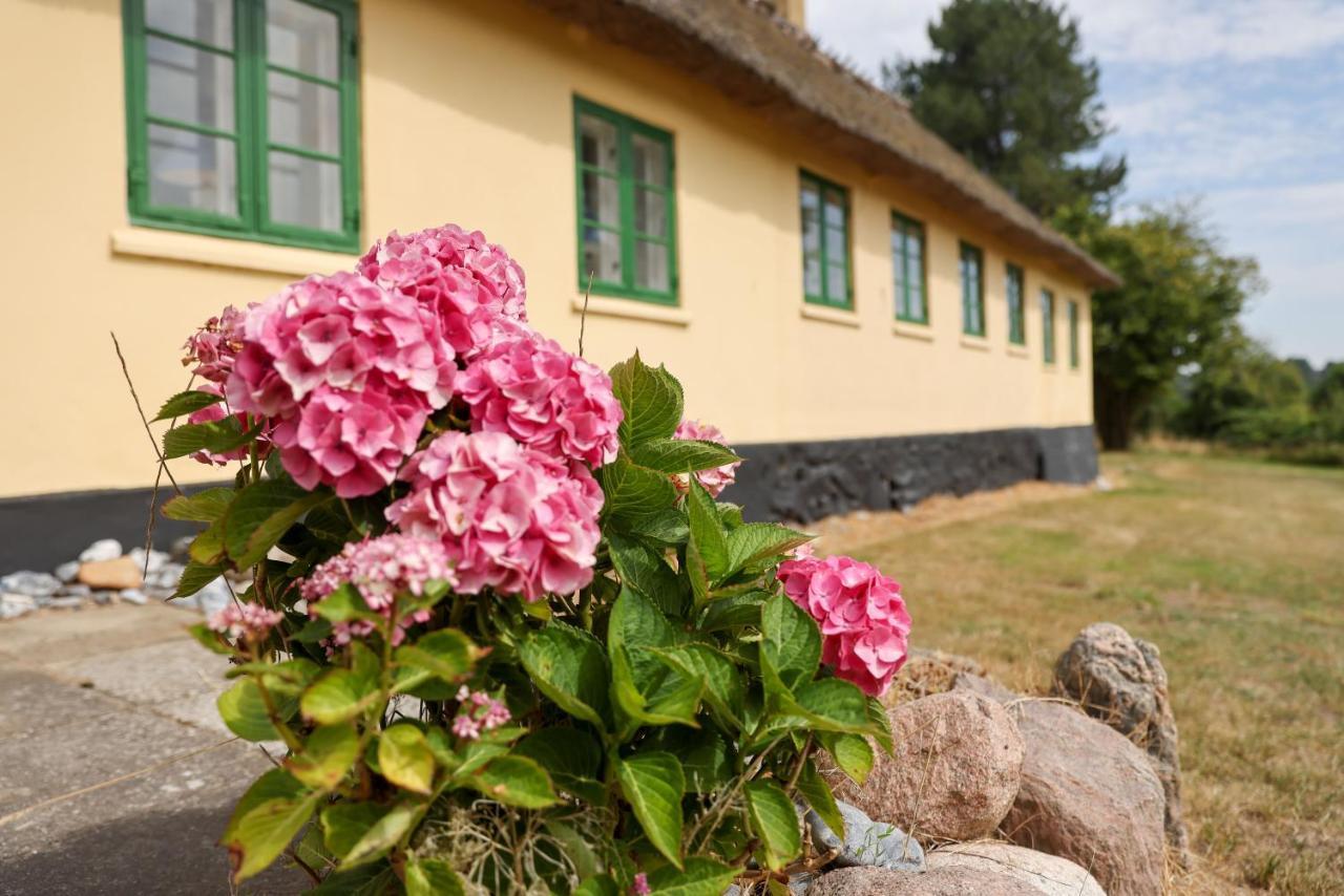 Sandet Borre Exterior photo